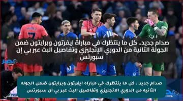 صدام جديد.. كل ما ينتظرك في مباراة ايفرتون وبرايتون ضمن الجولة الثانية من الدوري الإنجليزي وتفاصيل البث عبر بي إن سبورتس